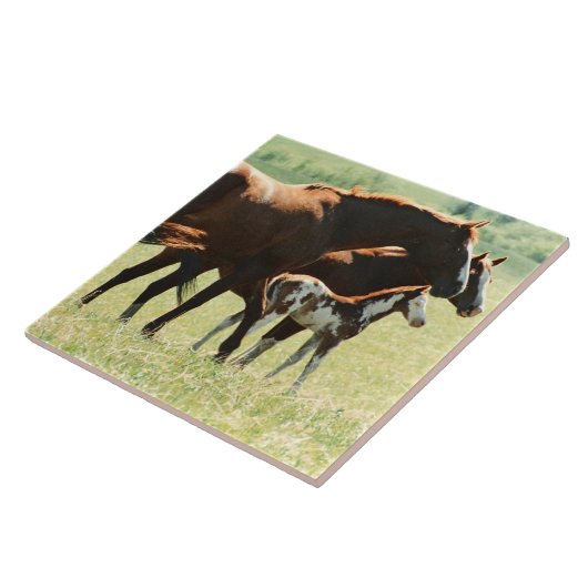 Paarden en Afbeelding van runderen Tegeltje (Zijkant)