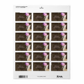 paarden en ballonnen op het adres van Barnwood Etiket (Full Sheet)