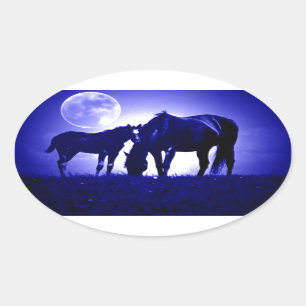 Paarden en blauwe nacht ovale sticker