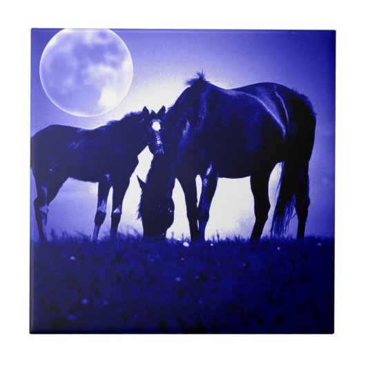 Paarden en blauwe nacht tegeltje (Voorkant)