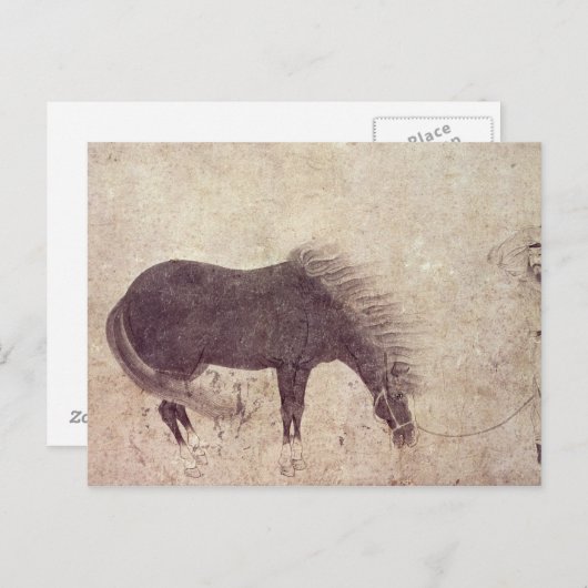 Paarden en bomen in de winter briefkaart (Voorkant / Achterkant)