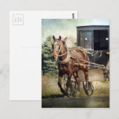 Paarden en buggy in Rural Iowa Briefkaart (Voorkant / Achterkant)