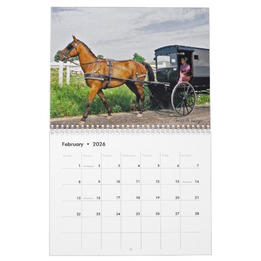Paarden en buggy kalender (Feb 2026)
