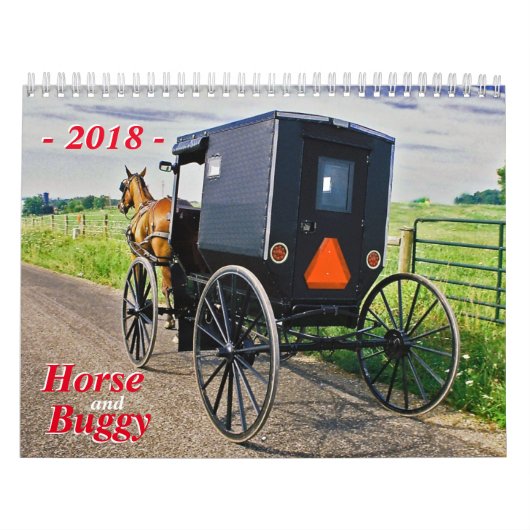 Paarden en buggy kalender (Hoes)