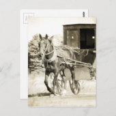 Paarden en Buggy Sepia Briefkaart (Voorkant / Achterkant)