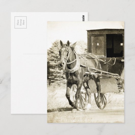 Paarden en Buggy Sepia Briefkaart (Voorkant / Achterkant)