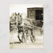 Paarden en Buggy Sepia Briefkaart (Voorkant)