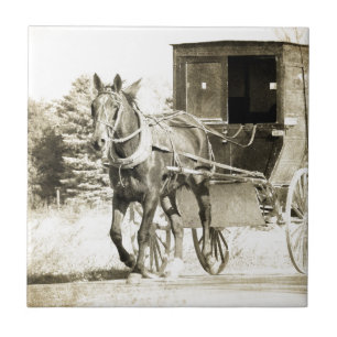 Paarden en Buggy Sepia Tegeltje