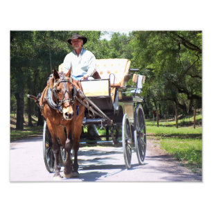 Paarden- en buggycarriage Ride op de foto van het  Afdruk