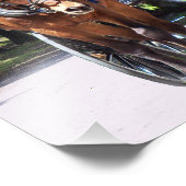 Paarden- en buggycarriage Ride op de foto van het  Foto Afdruk (Hoek)