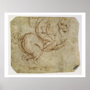 Paarden en Cavalier (pen en inkt op papier) Poster