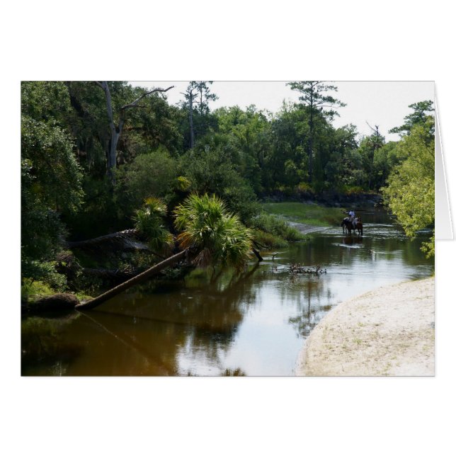 Paarden en de rivier (Voorkant Horizontaal)