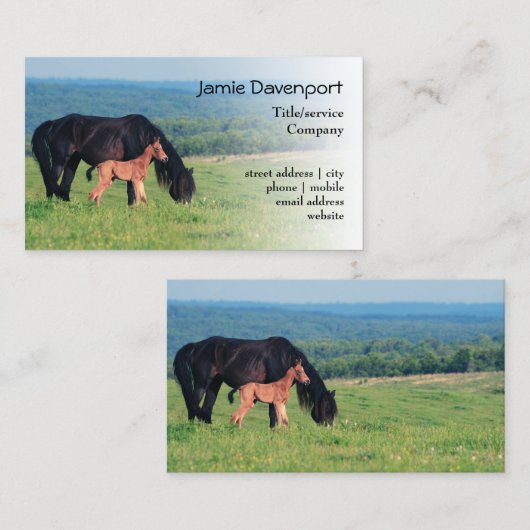 Paarden en dieren op een weide visitekaartje (Voorkant / Achterkant)