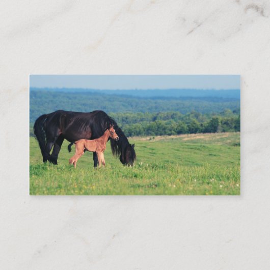 Paarden en dieren op een weide visitekaartje (Achterkant)
