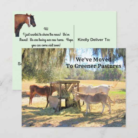 Paarden en Donkey New Address Post Kaart (Voorkant / Achterkant)