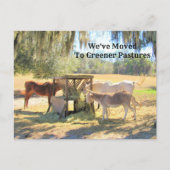 Paarden en Donkey New Address Post Kaart (Voorkant)