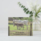 Paarden en Donkey nieuwe adrespost Kaart (Staand voorkant)