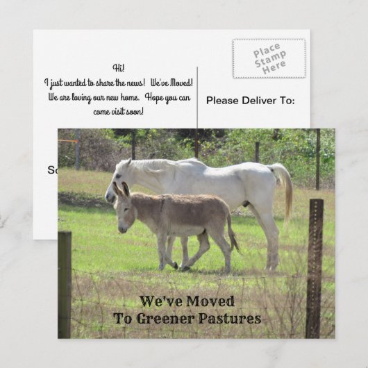 Paarden en Donkey nieuwe adrespost Kaart (Voorkant / Achterkant)