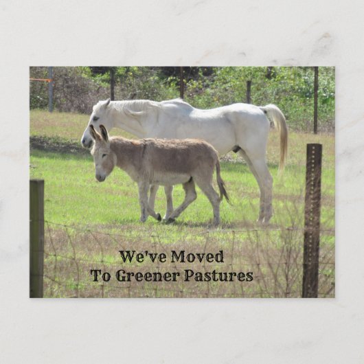 Paarden en Donkey nieuwe adrespost Kaart (Voorkant)