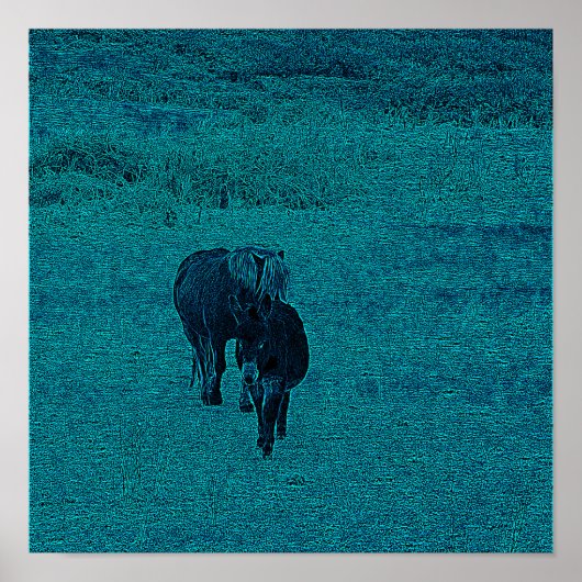 Paarden en Donkey Poster (Voorkant)