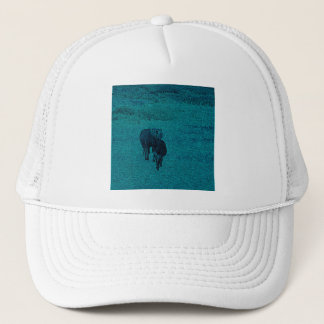 Paarden en Donkey Trucker Pet