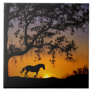 Paarden en eikenbomen, Tegel Tegeltje