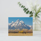 Paarden en Grand Tetons, machinehoofd Ranch Briefkaart (Staand voorkant)