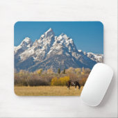 Paarden en Grand Tetons, machinehoofd Ranch Muismat (Met muis)