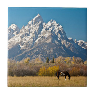 Paarden en Grand Tetons, machinehoofd Ranch Tegeltje