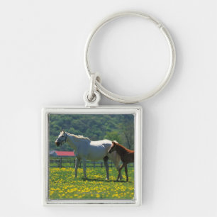 Paarden en haar veulen in een veld sleutelhanger