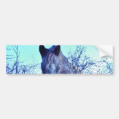 Paarden en hart bumpersticker (Voorkant)