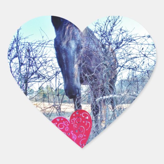 Paarden en hart hart sticker (Voorkant)