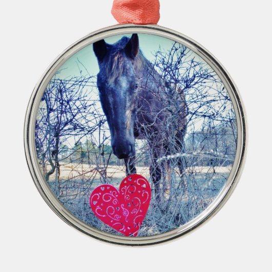 Paarden en hart metalen ornament (Voorkant)