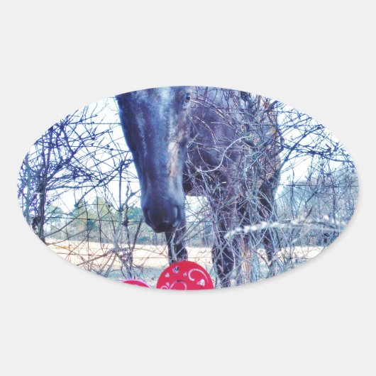 Paarden en hart ovale sticker (Voorkant)