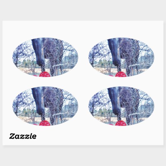 Paarden en hart ovale sticker (Vel)