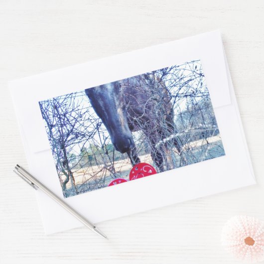 Paarden en hart rechthoekige sticker (Envelop)