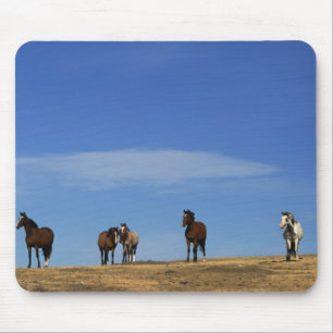 Paarden en Hemel Muismat