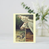 Paarden en honden  briefkaart (Staand voorkant)