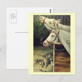 Paarden en honden  briefkaart (Voorkant / Achterkant)