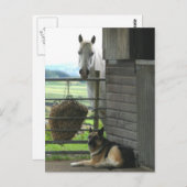 Paarden en honden briefkaart (Voorkant / Achterkant)