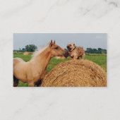Paarden en honden Meeting Visitekaartje (Achterkant)