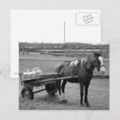 Paarden en karren briefkaart (Voorkant / Achterkant)