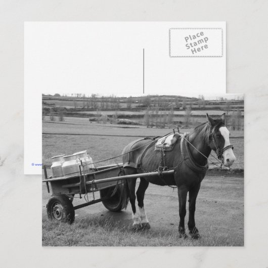 Paarden en karren briefkaart (Voorkant / Achterkant)