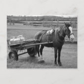 Paarden en karren briefkaart (Voorkant)