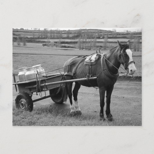 Paarden en karren briefkaart (Voorkant)