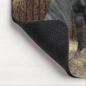 Paarden en kat-mousepad van stille bedrijven muismat (Hoek)