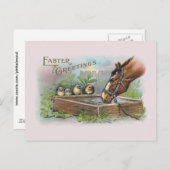 Paarden en kippen  Pasen Feestdagenkaart (Voorkant / Achterkant)