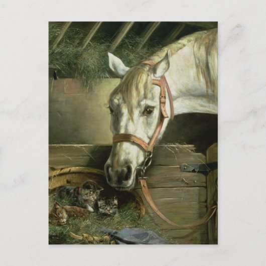 Paarden en kittens, 1890 briefkaart (Voorkant)