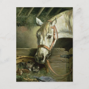 Paarden en kittens, 1890 briefkaart
