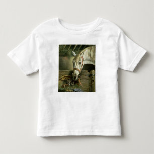 Paarden en kittens, 1890 kinder shirts